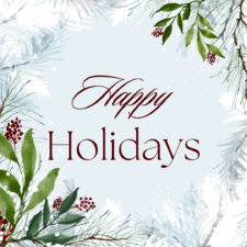 Happy Holidays is written in front of a light blue background with snow and winter plants.